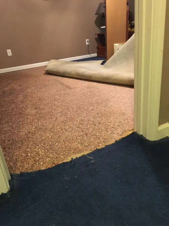 Carpet pad removal revealing water damage during Drying & Dehumidification in Lower Providence